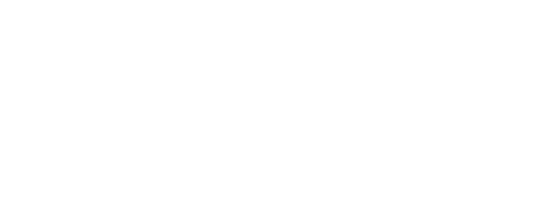 INSPECT